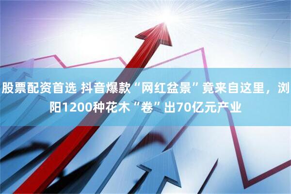 股票配资首选 抖音爆款“网红盆景”竟来自这里，浏阳1200种花木“卷”出70亿元产业