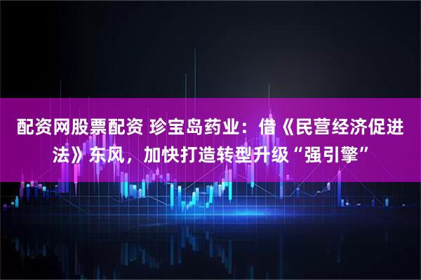 配资网股票配资 珍宝岛药业：借《民营经济促进法》东风，加快打造转型升级“强引擎”