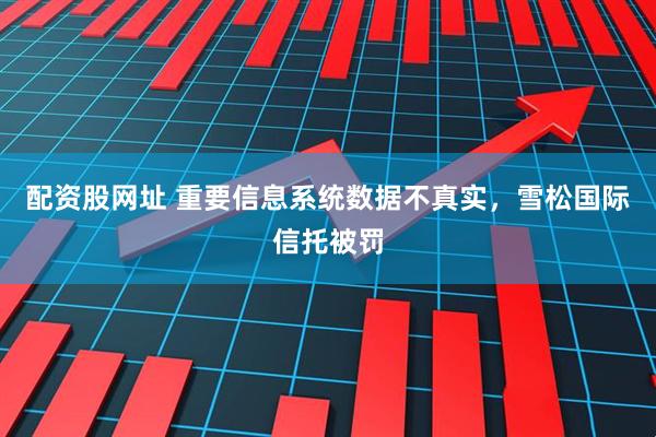 配资股网址 重要信息系统数据不真实，雪松国际信托被罚