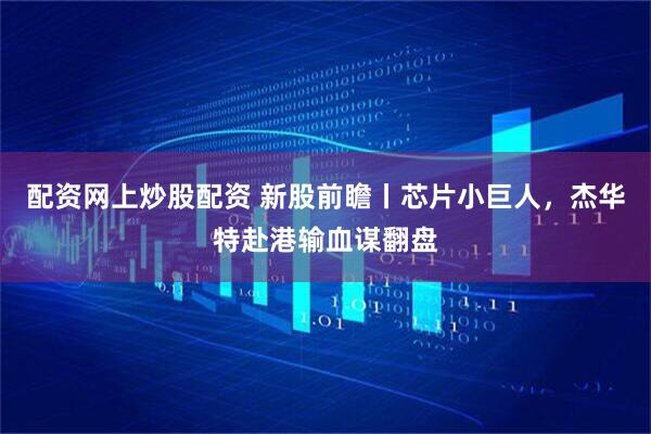 配资网上炒股配资 新股前瞻丨芯片小巨人，杰华特赴港输血谋翻盘