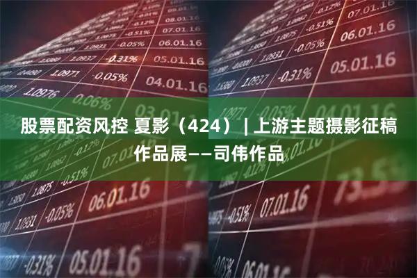股票配资风控 夏影（424） | 上游主题摄影征稿作品展——司伟作品